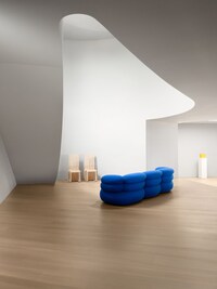 Sculptural Lounge Sofas Image 3