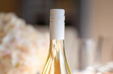 Unoaked Chardonnay Experssions