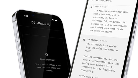 Digital Reflection Companions