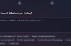 Personalized Mindfulness Platforms