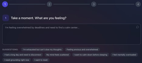 Personalized Mindfulness Platforms