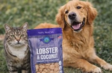 Lobster Pet Treats