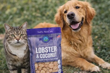 Lobster Pet Treats