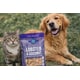 Lobster Pet Treats Image 1