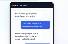 AI Language Tutors