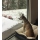 Yard Care-Focused Winter Initiatives Image 1