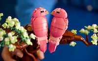 Playful Bird Brick Sets Image 3