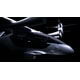 Electric Urban Flights Image 2