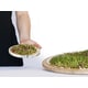 Countertop Sprouting Trays Image 2
