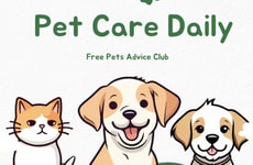 Pet Wellness Insights