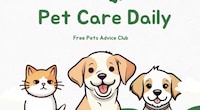 Pet Wellness Insights