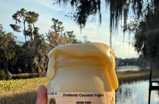 Vitamin-Rich Probiotic Yogurts