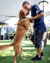 Dog-Themed Valentine's Day Events Image 2