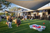 Dog-Themed Valentine's Day Events Image 3