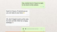 Conversational Reminder Tools Image 1