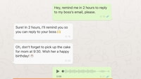Conversational Reminder Tools