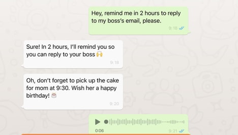 Conversational Reminder Tools