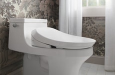 Dual-Wand Bidet Toilet Seats