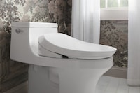 Dual-Wand Bidet Toilet Seats Image 1