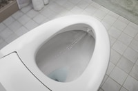 Dual-Wand Bidet Toilet Seats Image 2