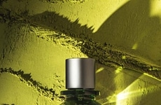 Serene Matcha Fragrances