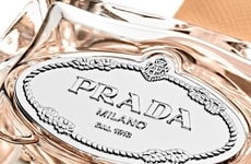 Spiced Chai Fragrances