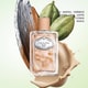 Spiced Chai Fragrances Image 2