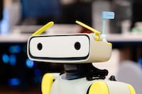 Hospitality-Focused Humanoid Robots