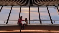 Revamped Observation Levels Image 3