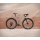 Ultra-Tough Titanium Gravel Bikes Image 2