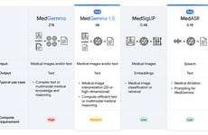 Open Healthcare AI Toolkits
