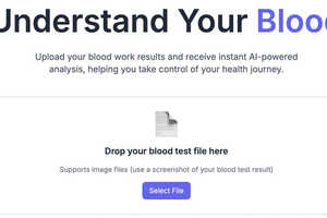 Lab Result Insights: Blood Insight AI Explains Blood Test Results With ...