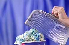 Celebratory Ice Cream Contests