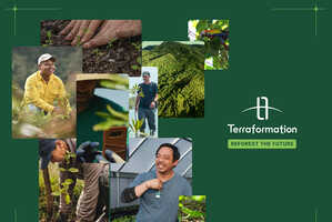 Local Reforestation Models Article Thubnail