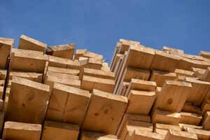 Forest Management Projects Article Thubnail