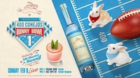 Adoptable Rabbit Races