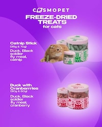 Alternative Protein Pet Treats Image 2