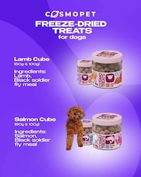 Alternative Protein Pet Treats Image 3
