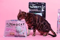 Future-Ready Pet Foods
