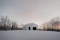 Forest-Edge Timber Homes Image 2