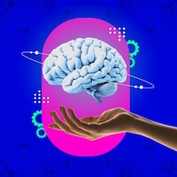 Omni-Bodied Robot Brains
