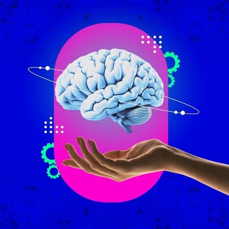 Omni-Bodied Robot Brains