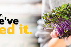 Sustainable Horticultural Innovations Article Thubnail