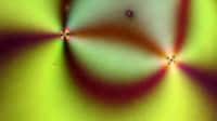 AI Defect Mapping Tools Image 1