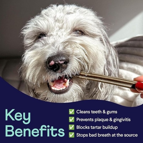Plaque-Fighting Dog Dental Chews