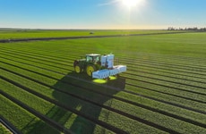Autonomous Weed-Control Robots