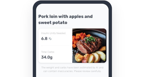 AI Carb Estimators