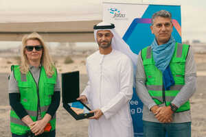 Corporate Tree-Planting Projects Article Thubnail