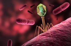 Space-Driven Phage Therapies