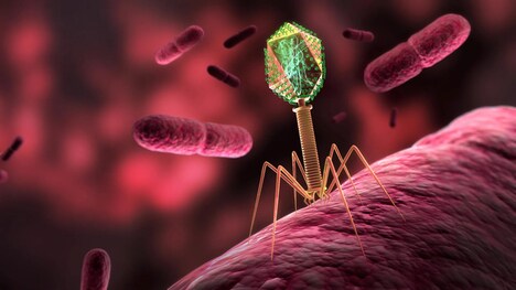 Space-Driven Phage Therapies